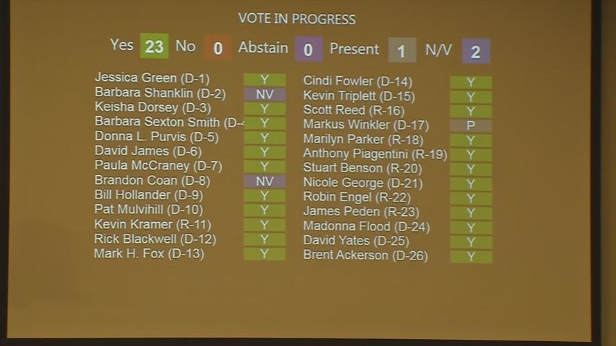 Ordinance Vote