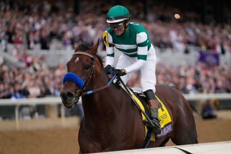 Breeders_Cup_Horse_Racing_45363.jfif