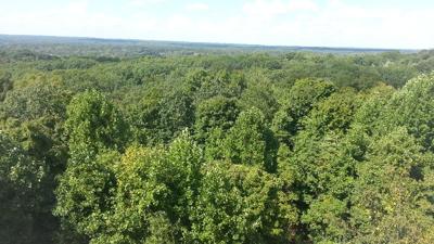 LEAF CAM | Watch the leaves change colors in Brown County, Indiana