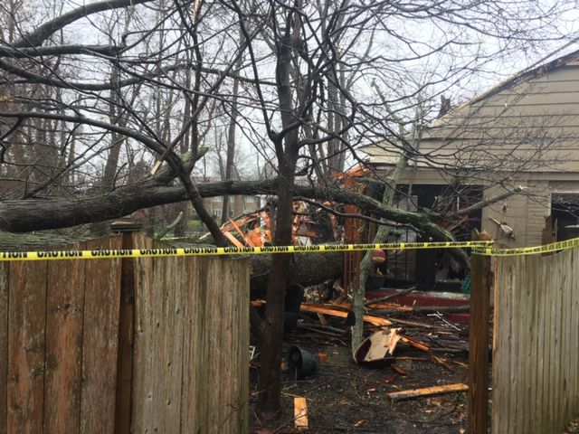 Tree falls on east Louisville home, 2 rescued