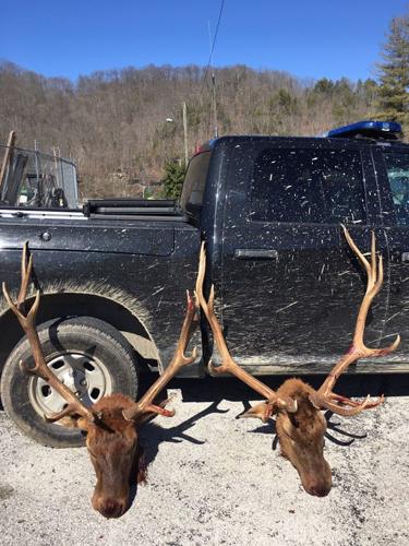 hunted elk 2-23-20.jpg
