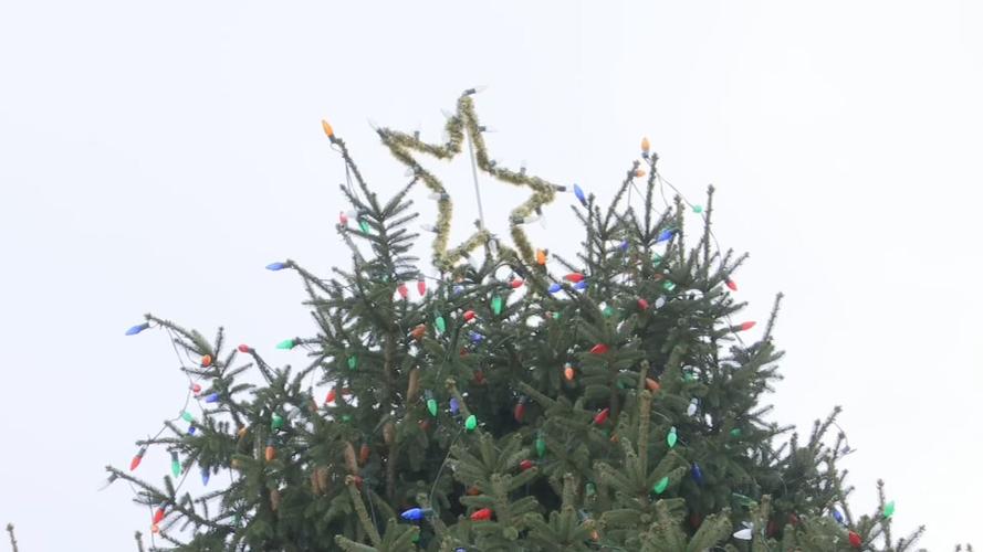 FRANKFORT TREE LIGHTING 12-6-19.jpg