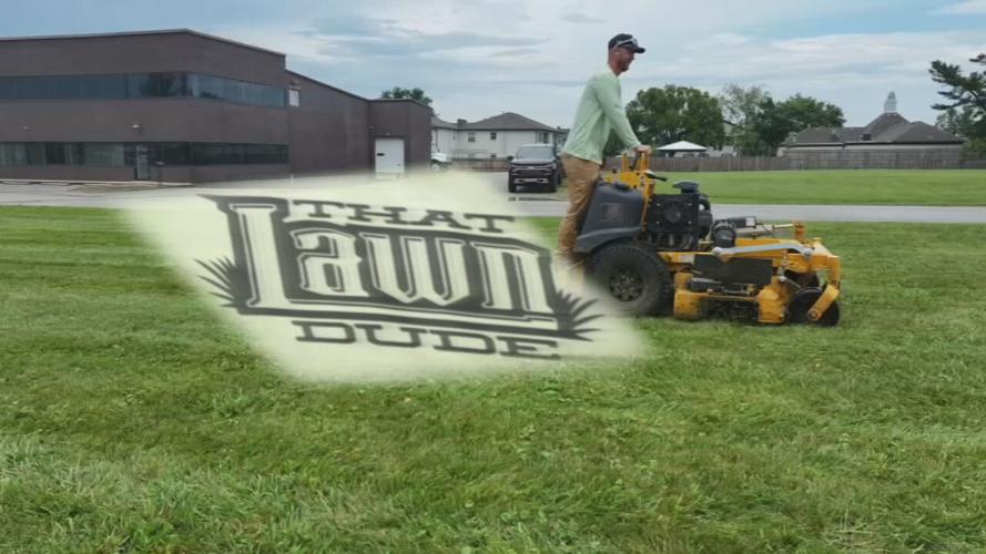 that lawn dude 2