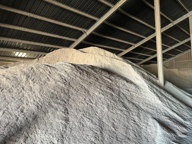 Louisville Slugger turkeys