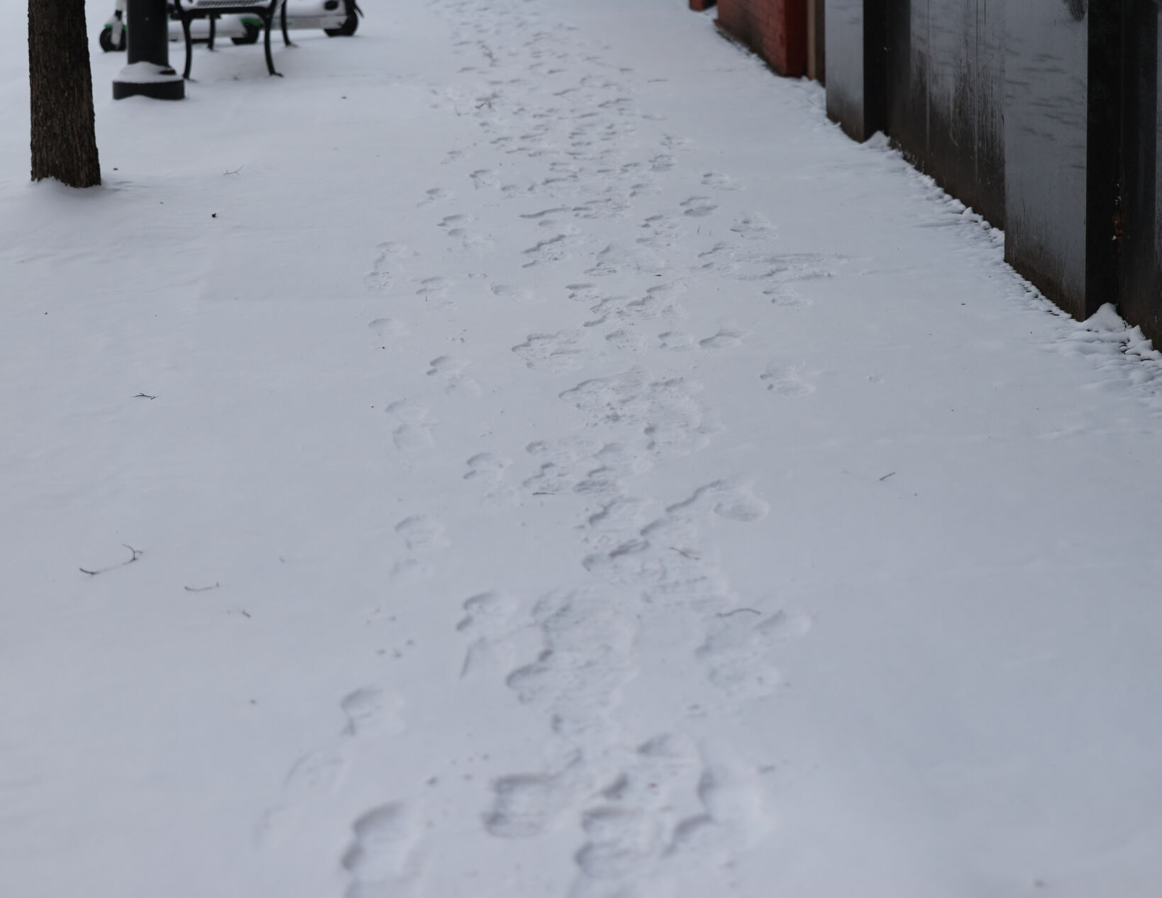 Foot prints in snow.JPG
