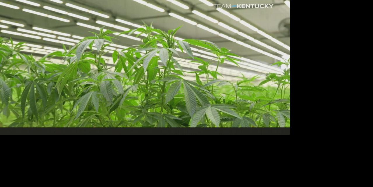 Armory Kentucky begins medical cannabis cultivation 7-11-25