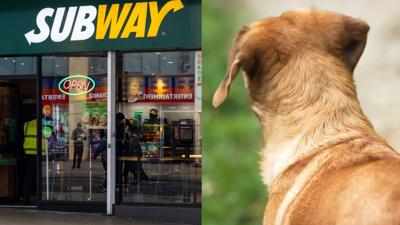 Subway Sally - Stray Dog
