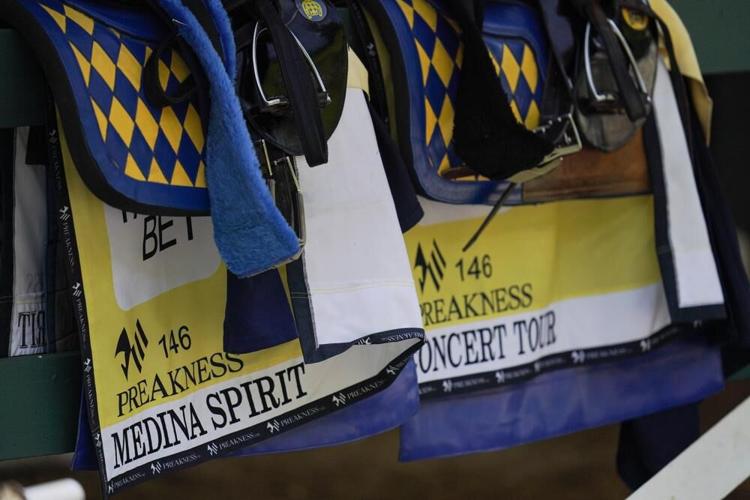 PREAKNESS SADDLECLOTHS - MEDINA SPIRIT AND CONCERT TOUR - AP 5-12-2021.jpeg