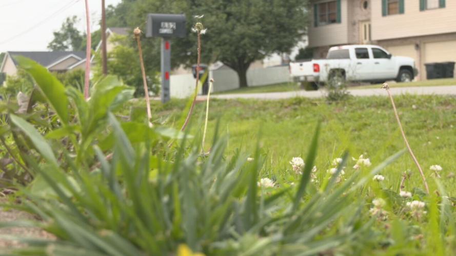 VINE GROVE MURDER SUICIDE