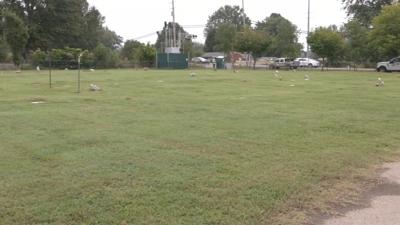 Meadow View Cemetery