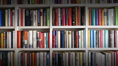 BOOKS - LIBRARY - GENERIC - FILE  (2).jpg