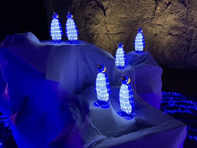 Penguins at Lights Under Louisville