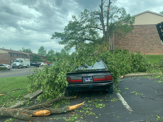 Tree on car after tornado in New Albany