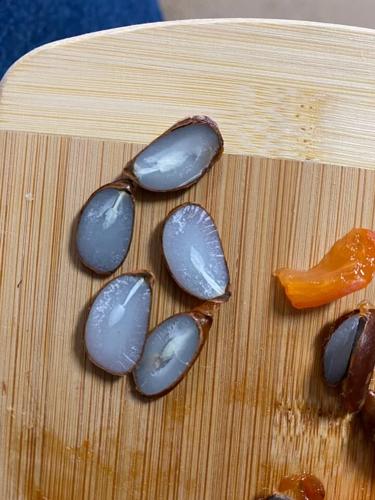 Steve Mitchell in Shelby County