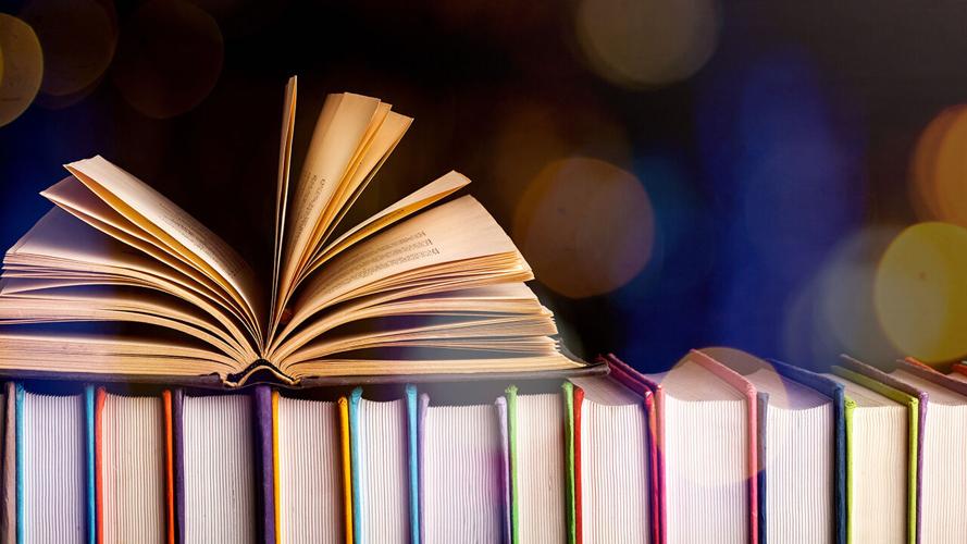 BOOKS - LIBRARY - GENERIC - FILE  (3).jpg