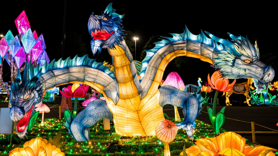 Wild Lights 2026 3 headed dragon