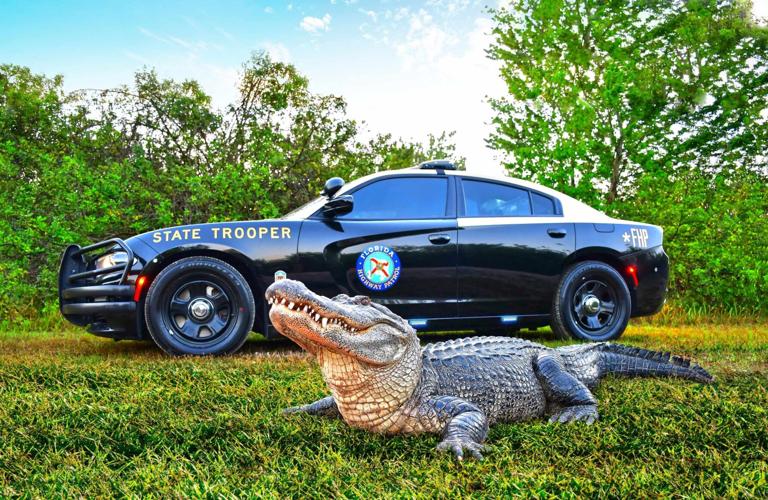 FHP_2023_CALENDAR_PHOTO_RESIZE.jpg