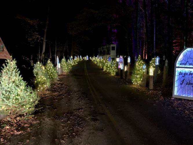 FILE: Winter Woods Spectacular