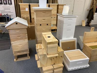 Louisville Bee School