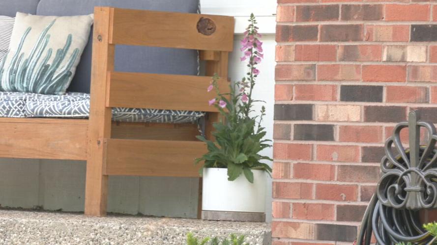 Plant stolen from Louisville porch