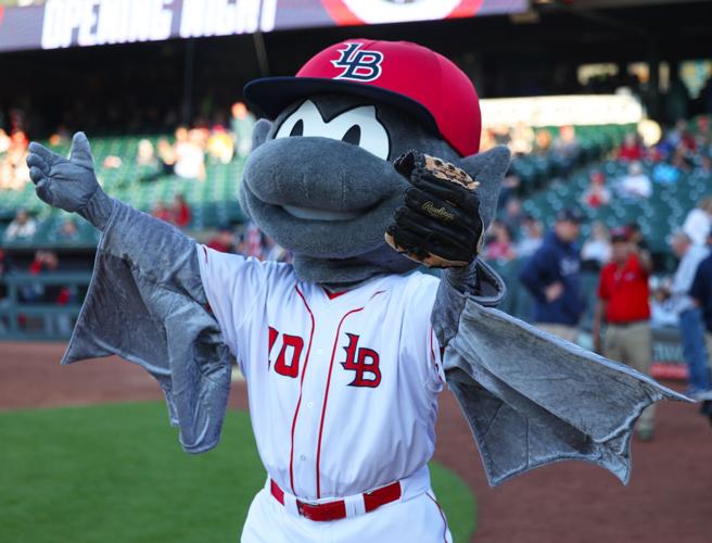 Buddy Bat at Slugger Field.JPG