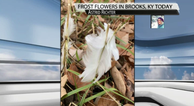 FROST FLOWERS: The Science Behind This Unique Weather Phenomenon...