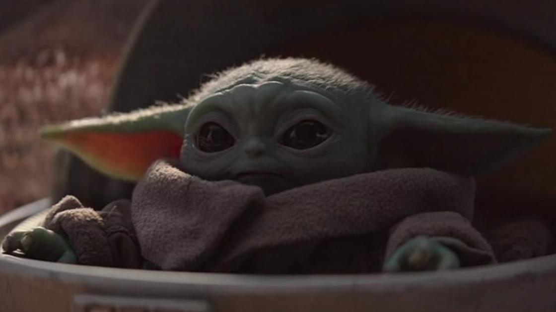 Kitten resembling Baby Yoda rescued from California ...