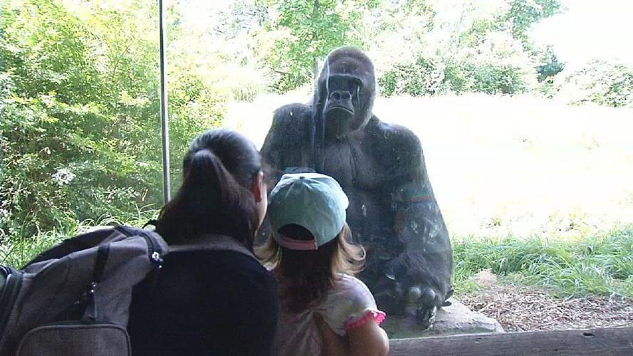 Louisville Zoo