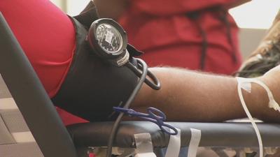 Blood donor