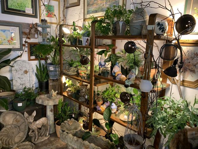 Flowers and plants for Paristown Garden Show - KK - 4.6.23