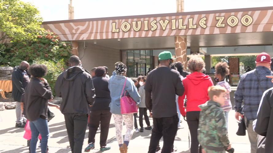 FUTURE HEALERS AT LOU ZOO.jpeg