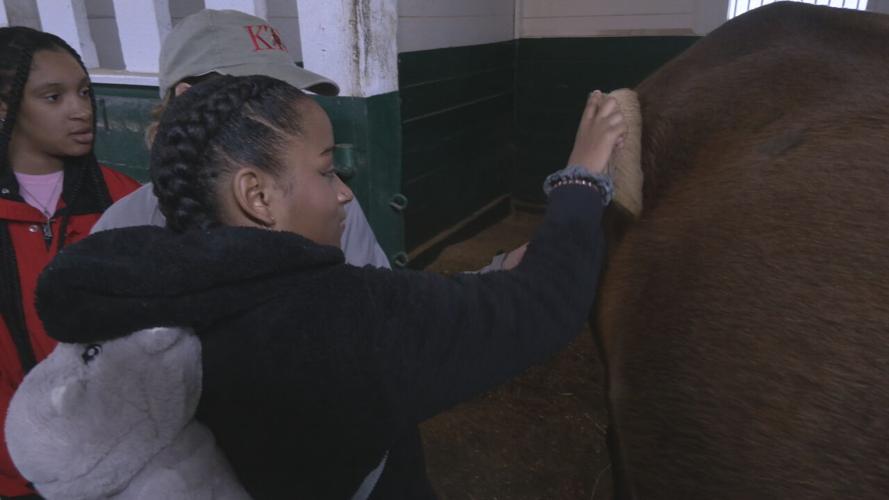 Game Changers learn about horses (3).jpeg