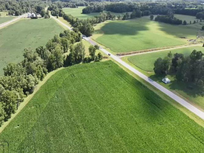 Local farms feeling impact from wildfire smoke (6).jpeg