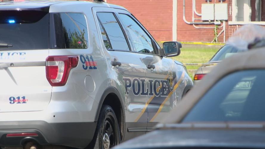 WEST CHESTNUT SHOOTING (1).jpeg