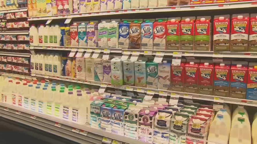 Milk alternatives.jpg