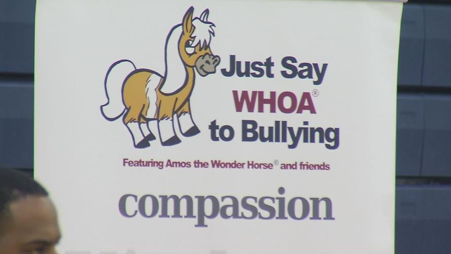 Just Say Whoa to Bullying logo