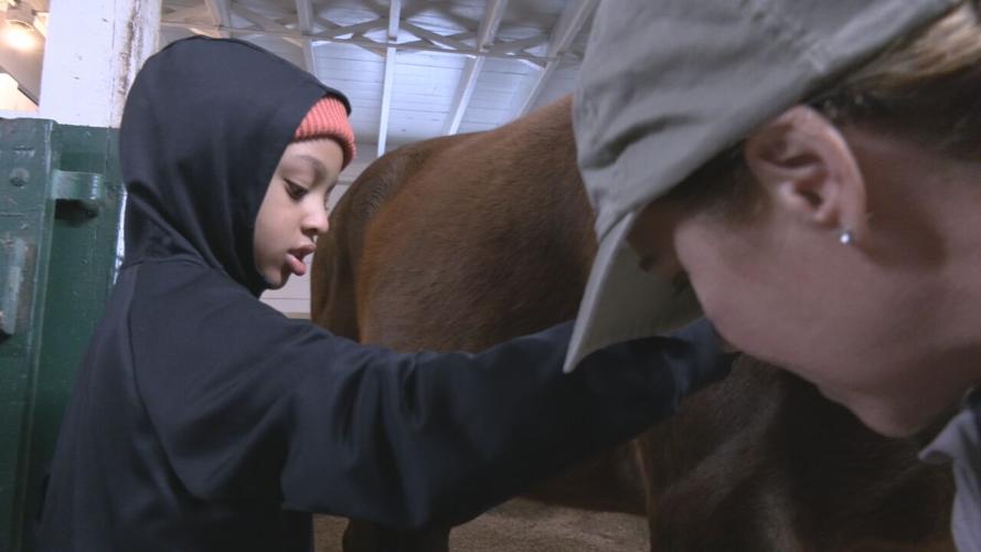 Game Changers learn about horses (2).jpeg