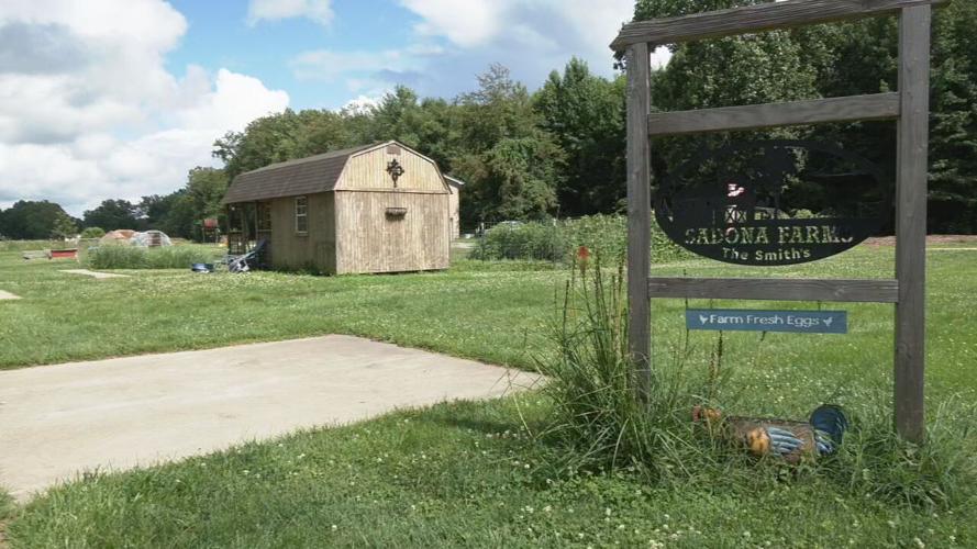 Local farms feeling impact from wildfire smoke (5).jpeg