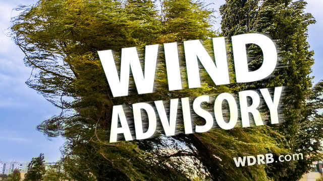 wind-advisory trees 1.jpg