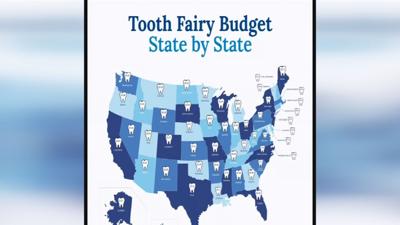 Tooth Fairy Budget by State