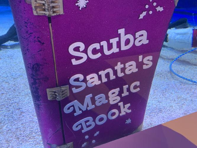 SCUBA SANTA - NEWPORT AQUARIUM - KK - 12-17-2020  (5).JPG