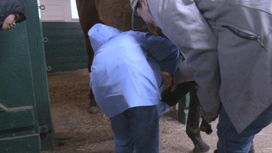 Game Changers learn about horses (1).jpeg