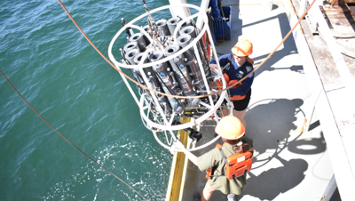 Gulf ‘dead zone’ below average, scientists find