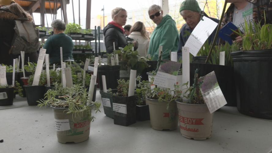 PARISTOWN GARDEN SHOW