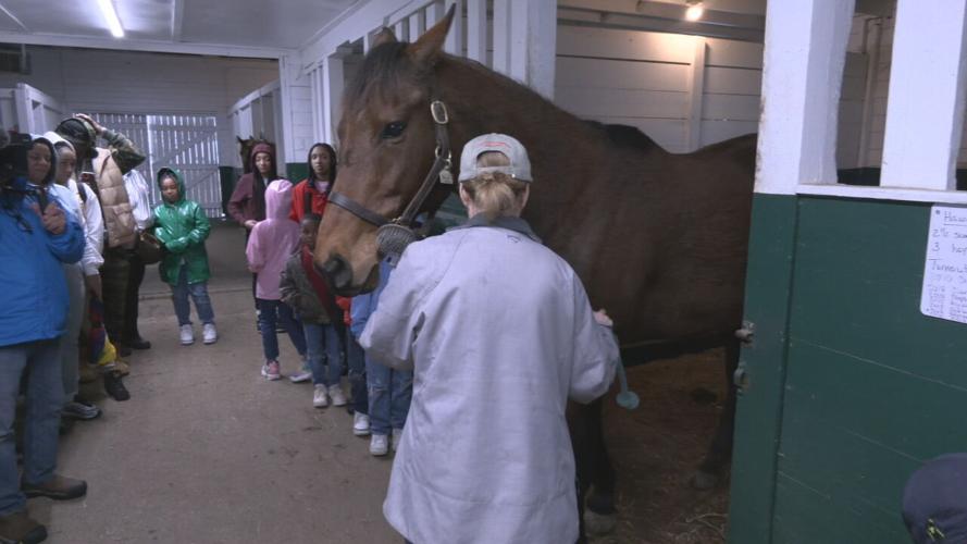 Game Changers learn about horses.jpeg