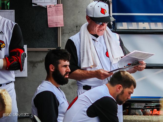 Louisville baseball Dan McDonnell
