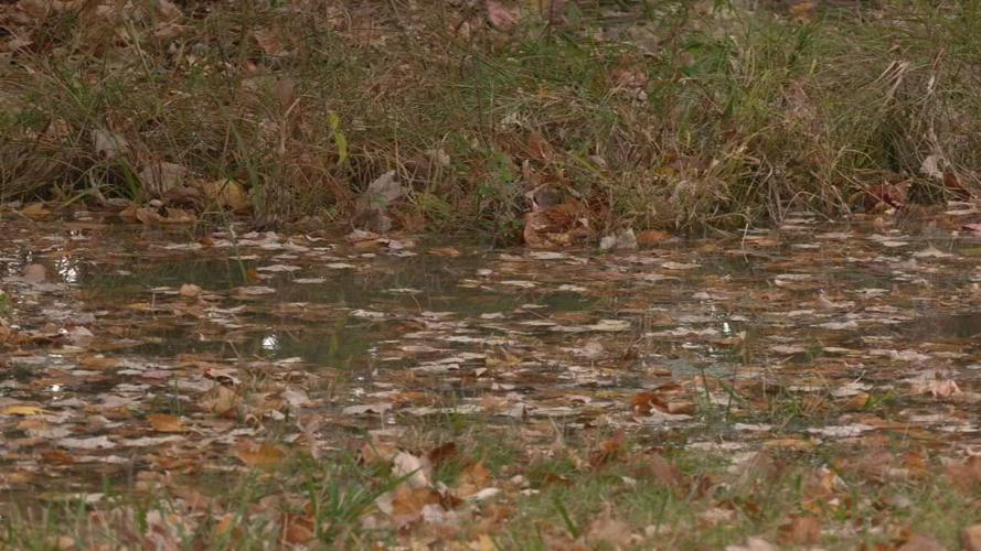 Hardin County neighborhood sewage