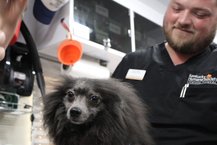 KHS - CARE-A-VAN - VETERINARY CARE  6-20--2025 (1).JPG