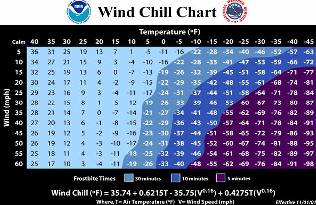 wind chill chart.jpg