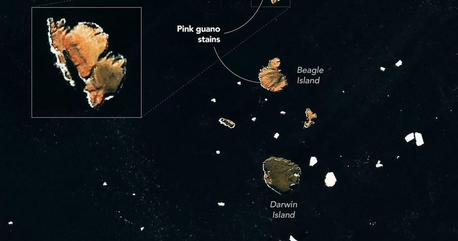 NASA can see penguin poop from space. What the color can tell us about their Antarctic environment... Aug 5, 2026 Aug 5, 2026 Updated 47 sec ago